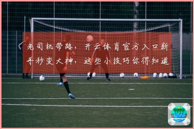 老司机带路，开云体育官方入口新手秒变大神，这些小技巧你得知道